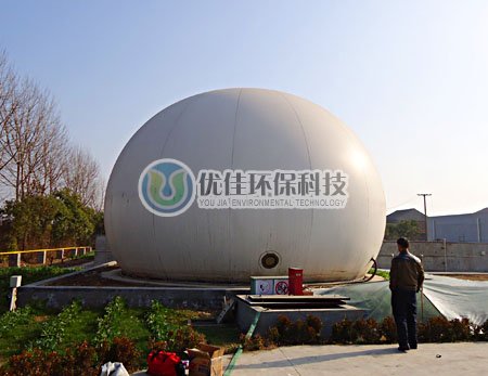 上海大型沼气工程